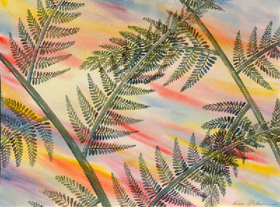 Ferns at Sunset